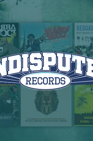 The "Ultimate" pack of vinyls (7 albums + 4 Singles + 1 Ten Inch) Edition 2021